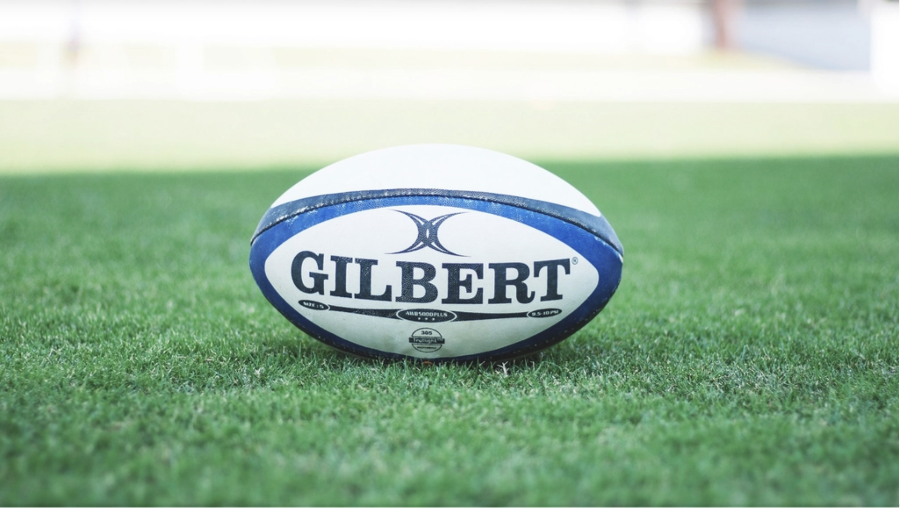 rugby Ball on grass