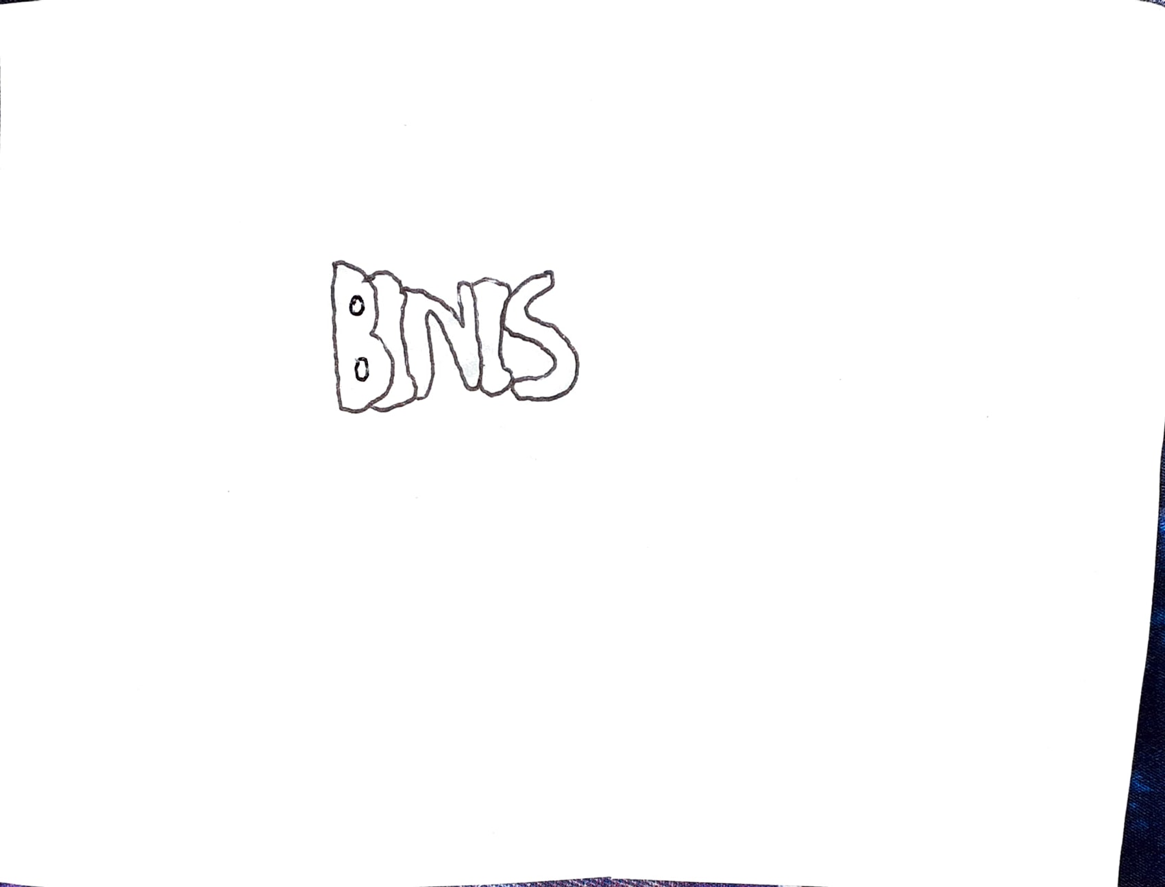Word art of BINIS (Bath Irish and Northen Irish Society)