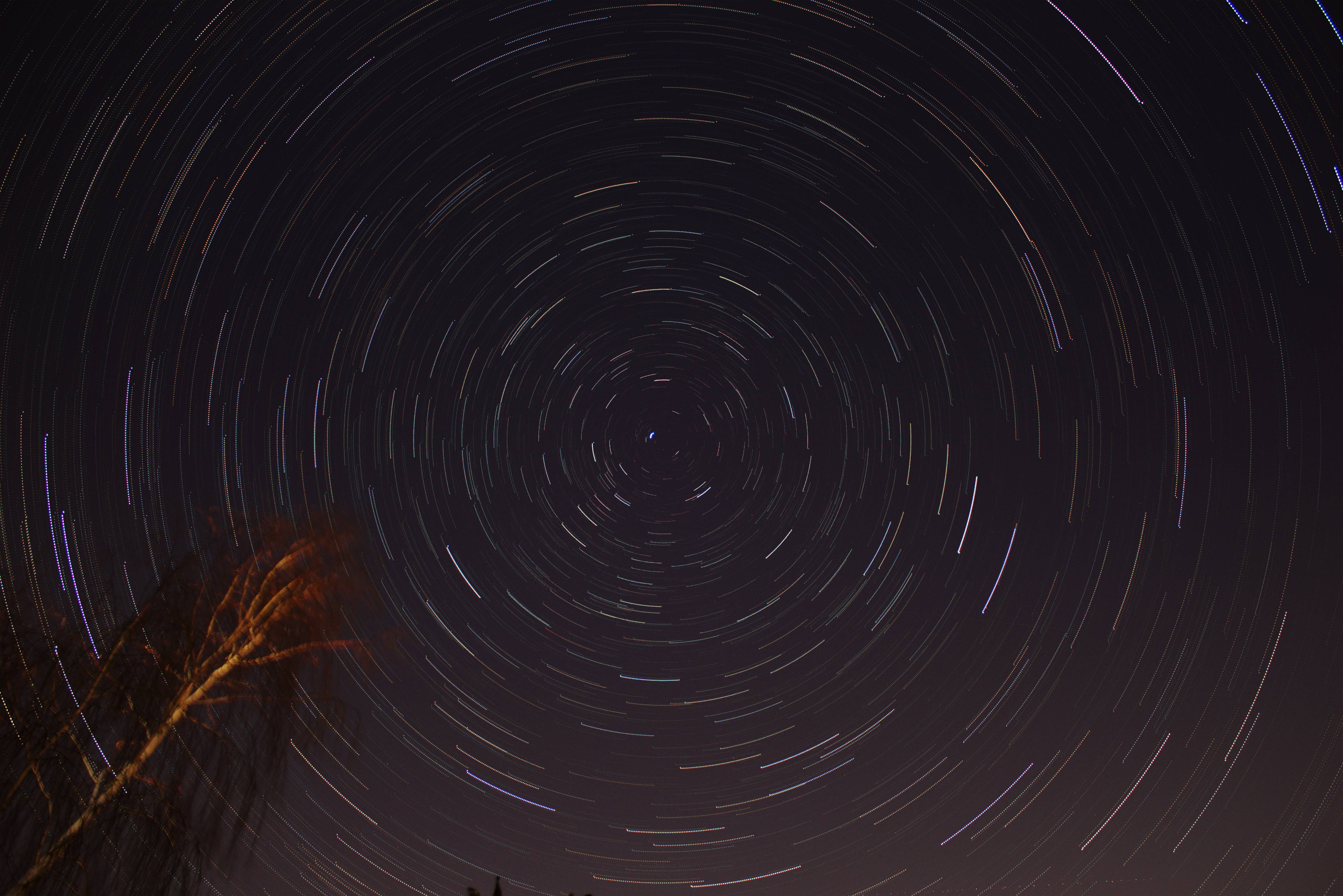 Long exposure photo of star trails twisting around Polaris. A tree is visible.