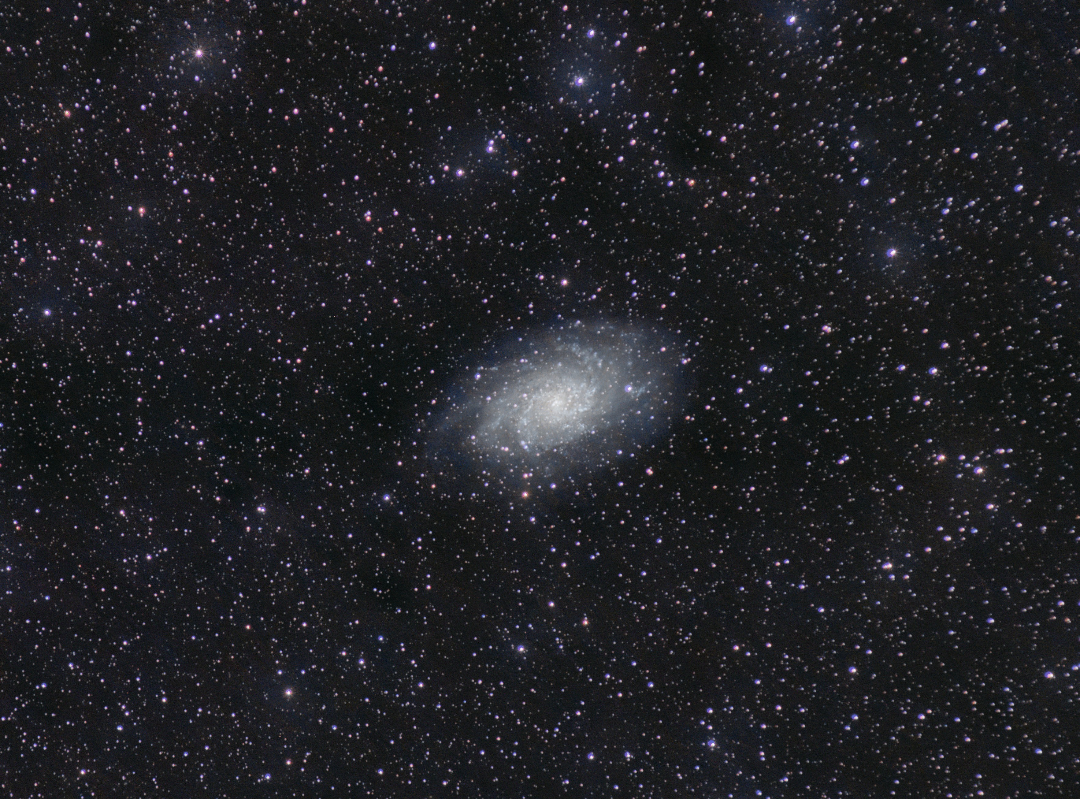 Colour photo of Triangulum galaxy. Many surrounding stars can be seen in the wide-field.