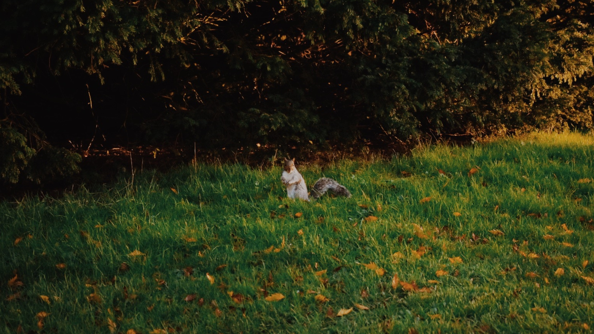 Descriptive alt text for image 2